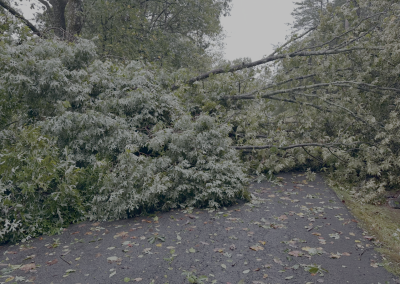 Helene Aftermath 5